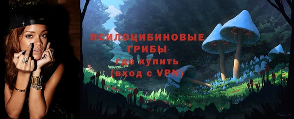 гидра Лиски