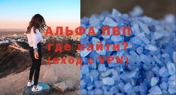 индика Мурманск
