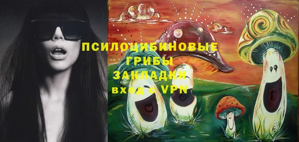 гидра Лиски