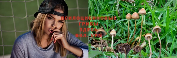 MESCALINE Лихославль
