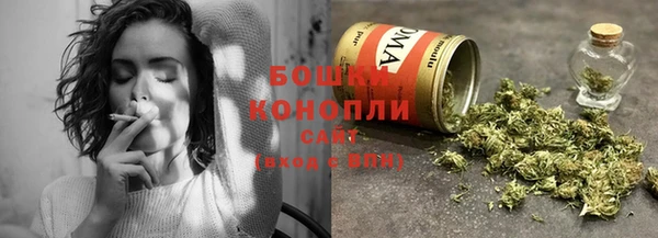 гидра Лиски